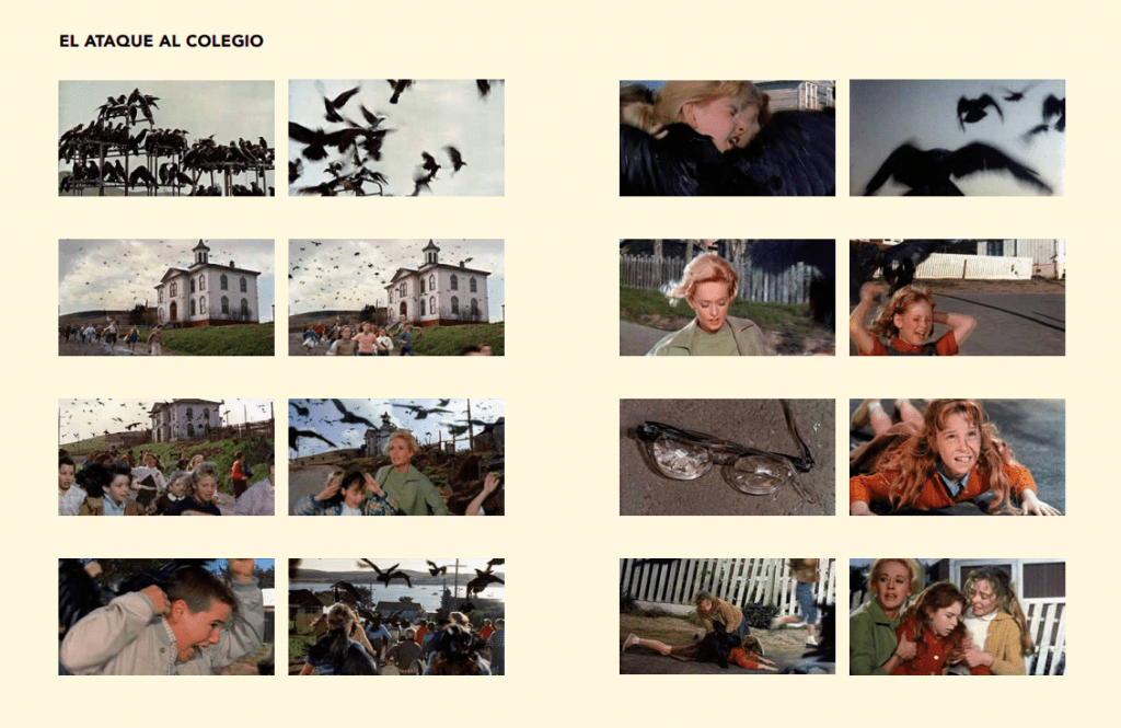 LOS PAJAROS. EL LIBRO DEL 60 ANIVERSARIO - Quim Casas, Carlos Díaz Maroto y Jaime Vicente Echagüe - Imagen 4