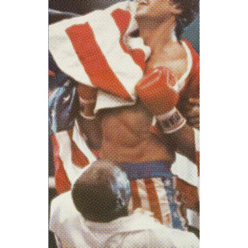 SYLVESTER STALLONE, HÉROE DE LA CLASE OBRERA - David Da Silva